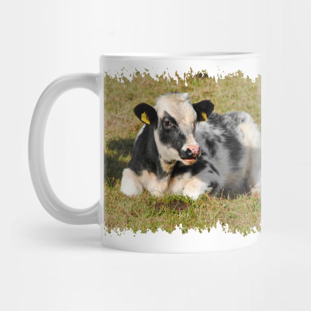 Love Cows by DeVerviers